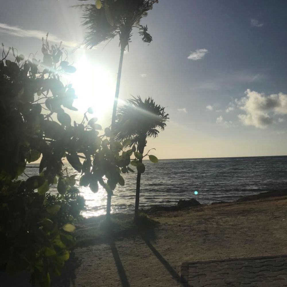 Meet your Posher, Kelley